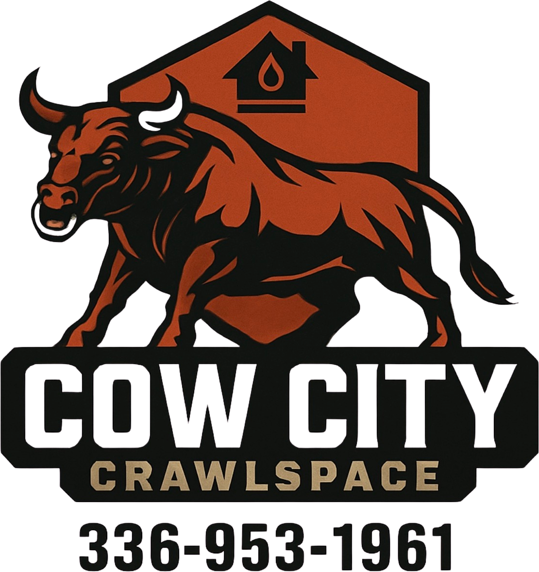 Cow City Crawlspace LLC logo