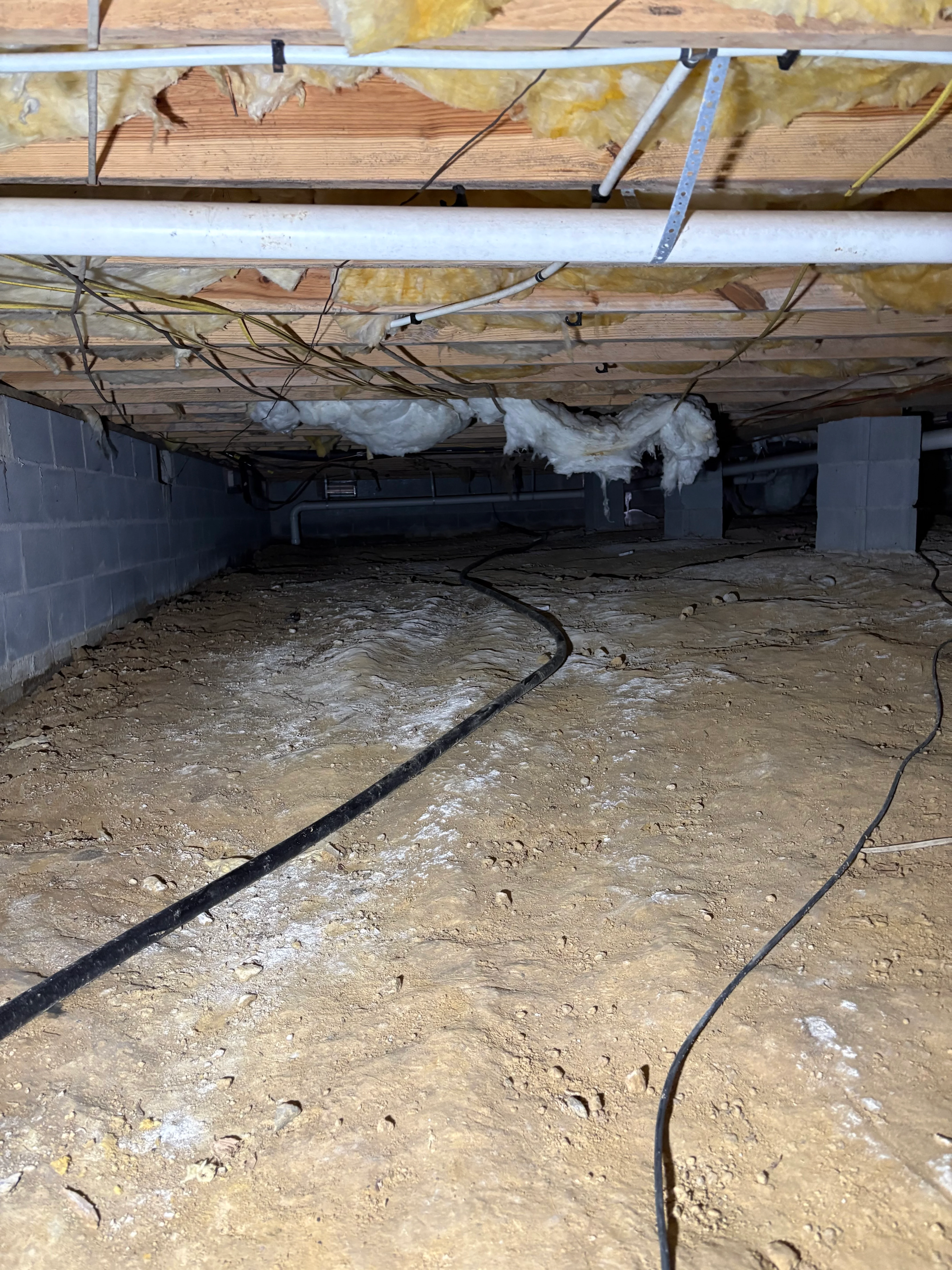 Crawl space with black vapor barrier, suspended dehumidifier units, and electrical lines