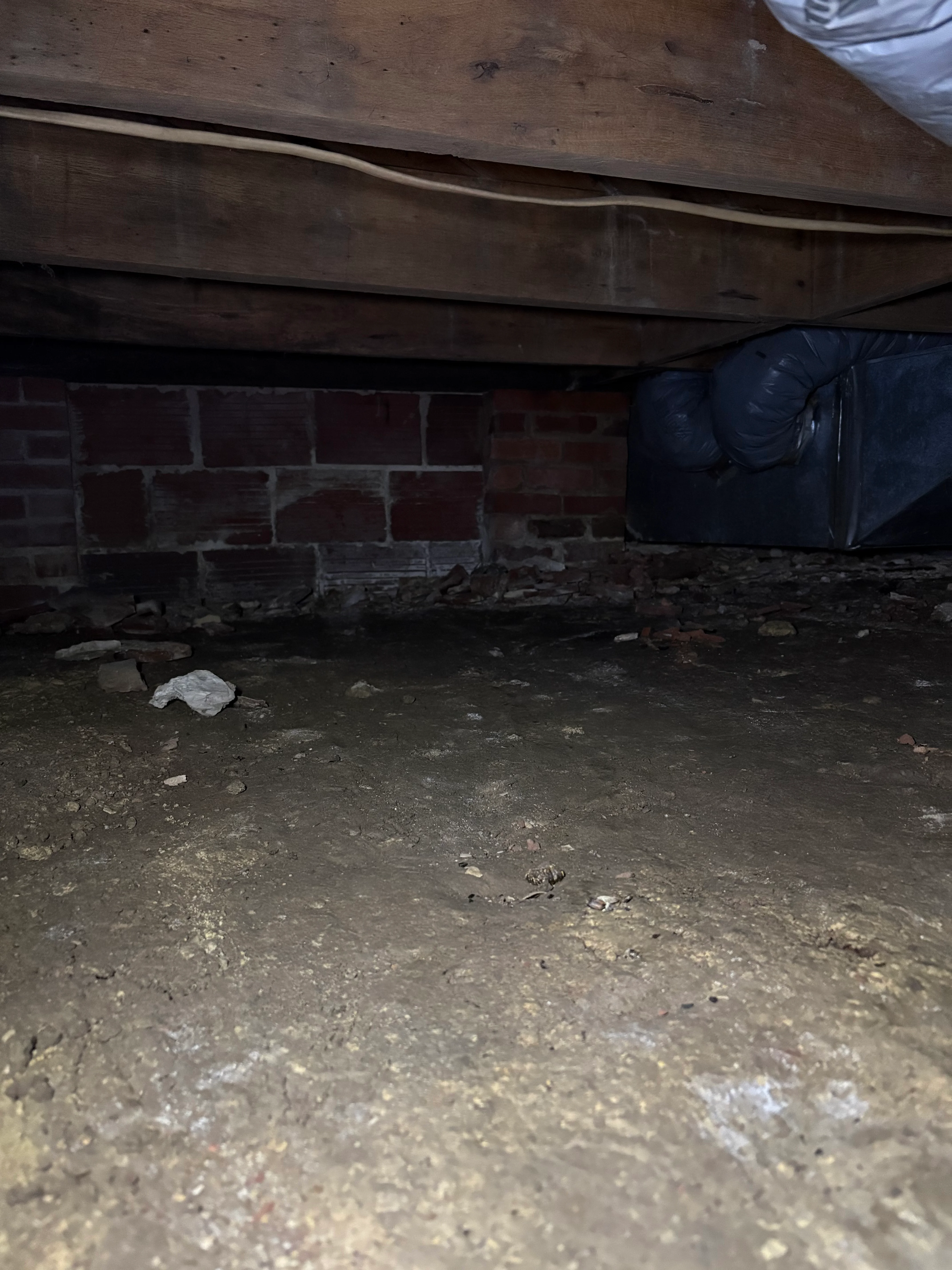 Cleaned crawl space with brick foundation walls and wooden support beams